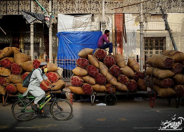حمل ادویه جات به عمده فروشان